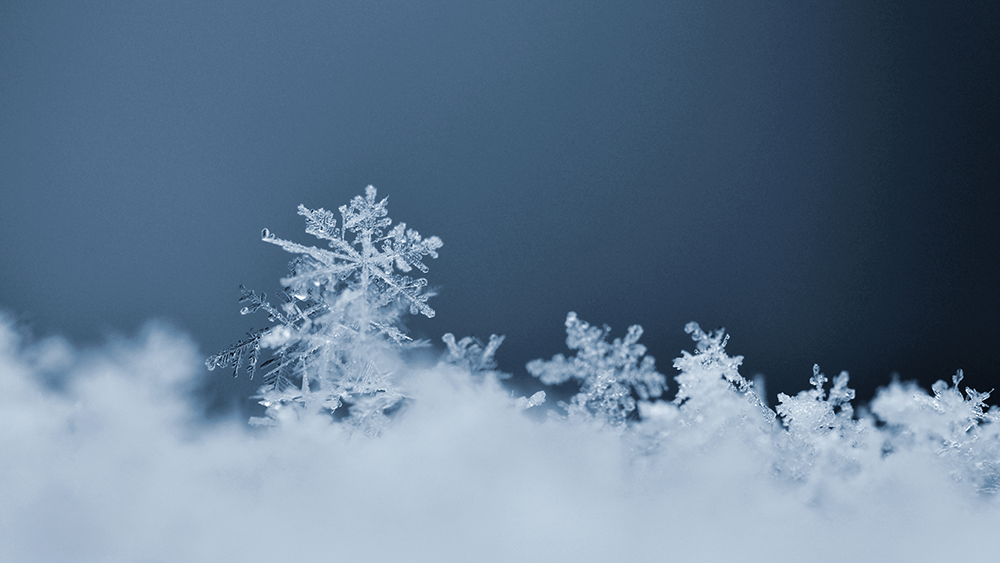 close up image of snowflakes